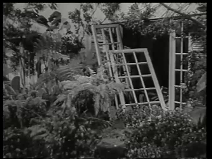 Thumbnail image for Movie-BrideOfTheGorillamostCompleteVersion